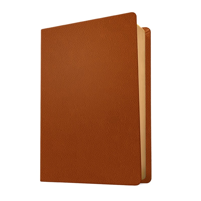 NLT Life Application Study Bible, Third Edition (Genuine Leather, Brown,