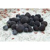 KIRA SEEDS - Black Truffle Mushrooms Spores - Heirloom -