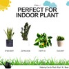 WhaleLife Indoor Watering Can for House Bonsai Plants (1.4L, Black)