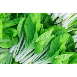 2000 Pak Choi Chinese Cabbage Seeds for Planting - Also Known as Bok Choy - A Tasty Non-GMO Heirloom Variety to Plant Asian Greens in Your Home Vegetable Garden