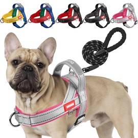 LiebeDD Dog Harness with Lead for Medium Small Dogs Puppies, Colourful Colour Block Harness, Mesh Padded Chest Harness Dog with Handle and Chest Ring, Reflective & Lightweight, Grey Pink, M