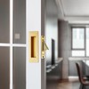 senharvest Pocket Door Pull and Edge Pull Set Brushed Gold,