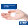 BASF Instant Soap 'n Water, Foaming Hand Cleanser, Ready to