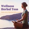 FullChea - Hyssop Tea Bags, 30 Teabags, 1.5g/bag - Premium