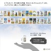 Tiny Universal Waite Tarot Key Chain, Tarot Divination, Japanese Instruction
