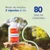 FOCUS MAX | Luteína con Zeaxantina y Omega 3 |