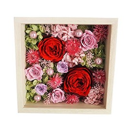 Hula Deco Preserved Flowers [Fool] (Red)