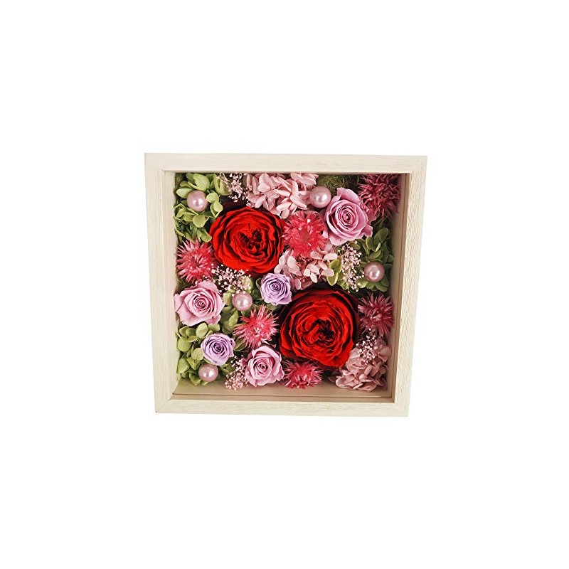 Hula Deco Preserved Flowers [Fool] (Red)