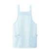 Nursley Women's Short Length 6 Pocket Apron, M-L, Sky Blue