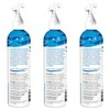 Not Your Mother's Beach Babe Sea Salt Spray (3-Pack) -