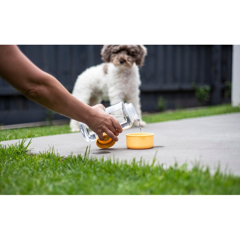 Lock & Lock Pet Water Bottle, 1 Litre Capacity