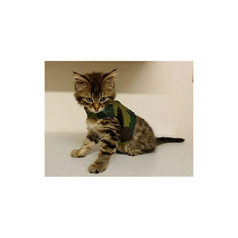 Mynwood Cat Jacket/Harness Green Combat Kitten up to 8month