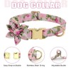 Beirui Cute Girl Dog Collars, Harnesses & Leashes Set -