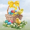 20 Napkins Chick on Easter Egg Basket Animals Spring Easter