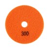 Polishing Pads One Set Diamond Wet Dry Polishing Pads Disc