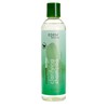 EDEN BodyWorks Peppermint Tea Tree Shampoo | Clarifying Shampoo for