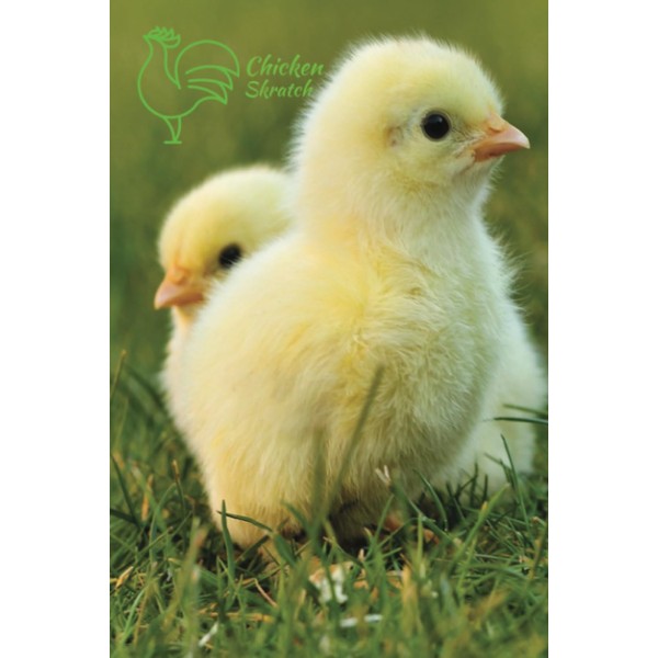 Notebook, Chicken Skratch, journal, paperback, wide ruled, 60 pages