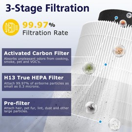 B-D02U True HEPA Filter Compatible with VEWIOR H13 True HEPA Air Cleaner B-D02U, 3-Stage Filter, 2 Pack