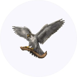 24 x 40mm Round 'Peregrin Falcon' Stickers (SK00044025)