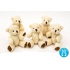 NEW 5 X Cute And Cuddly Little Teddy Bear -
