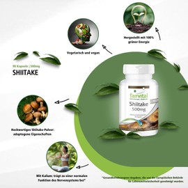 Fairvital Shiitake Capsules - 500 mg Shiitake Mushroom Powder per Capsule - High Dose - Lentinula edodes - Vegan - 90 Capsules