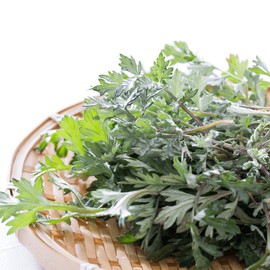 I'm from Mugwort Cream