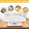 Digital Pet Scale 10kg/1g High Precision Small Pet Cat Weighing