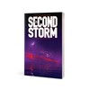 The Second Storm