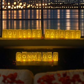 Will You Marry Me Sign - ¿QUIERES CASARTE CONMIGO? Will You Marry Me Light Up Letters in Spanish with Roses, Marry Me Proposals Romantic Decorations Special Night, Valentines Day Brithday Celebrations