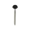 POLYMER HEADED PIN(BLACK)BOX/250 30mm