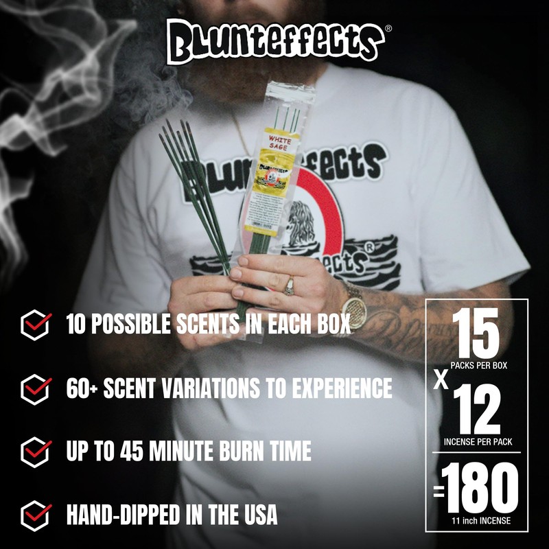 Blunteffects Hand-Dipped Incense Sticks - Premium 180-Pack Variety Set, 15