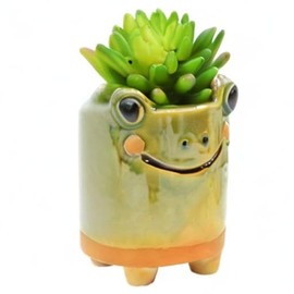 MONMOB MONMOB Ceramic Frog Pencil Holder Frog Pencil Holder for Desk Accessories Decoration Succulent Plant Pot Office School Ideal Gifts for Women, Mom or Birthdays