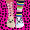 United Oddsocks - Box 6 Oddsocks Women Pawsome, UK 4-8,