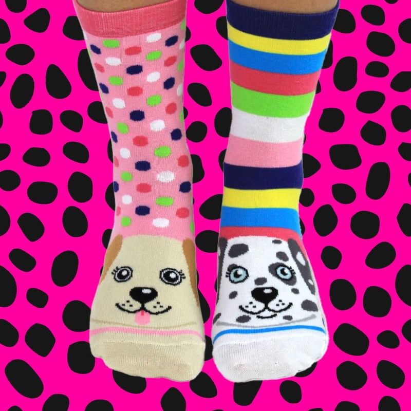 United Oddsocks - Box 6 Oddsocks Women Pawsome, UK 4-8,