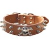 haoyueer Spiked Leather Dog Collar - 2 Rows Bullet Rivets
