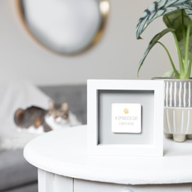 Pavilion Gift Company - A Spoiled Cat Lives Here - 4.75" x 1.25" Square 3D Plaque Wall Decor Sign Gift Cat Kitty Kitten Feline Pet Parent Mom Dad Present