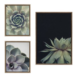 Kate and Laurel Sylvie Succulent Framed Canvas Wall Art Set by Emiko and Mark Franzen of F2Images, one 23x33 and two 16x20 Gold Finish Frames, Decorative Plant Art for Wall