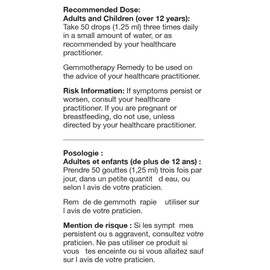 UNDA Gemmo Therapy - Rosa Canina - Dogrose Young Shoot Extract - 125 ml Liquid