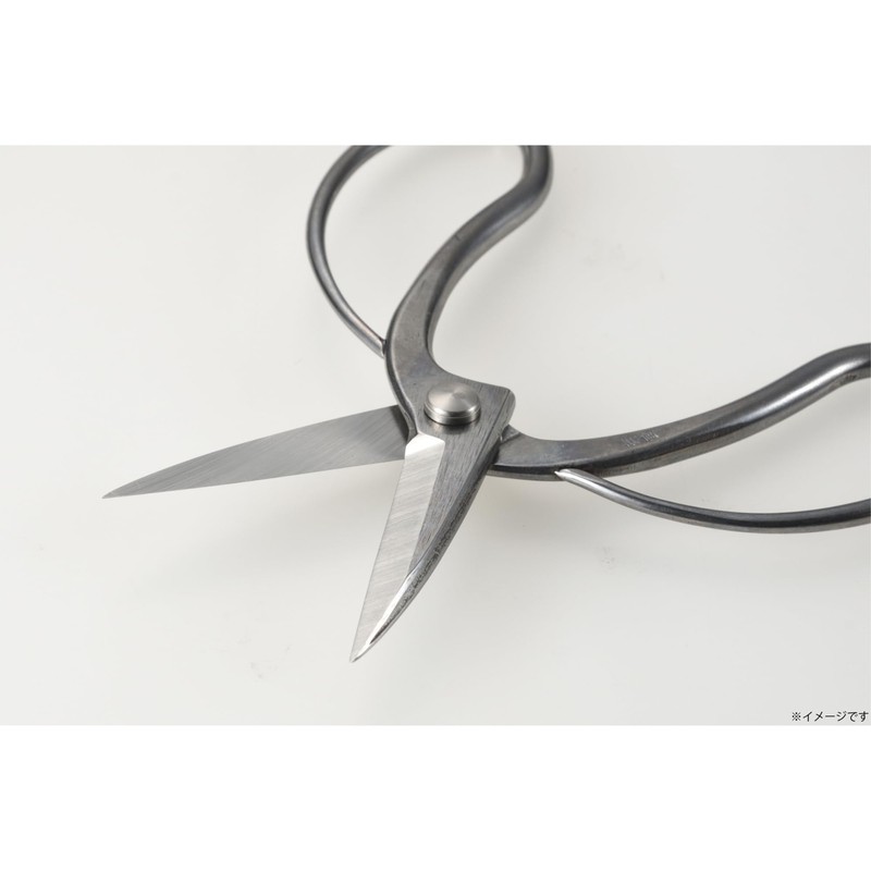Takagi Kikudo Stainless Steel Long Blade Okyuho Shears, 7.7 inches