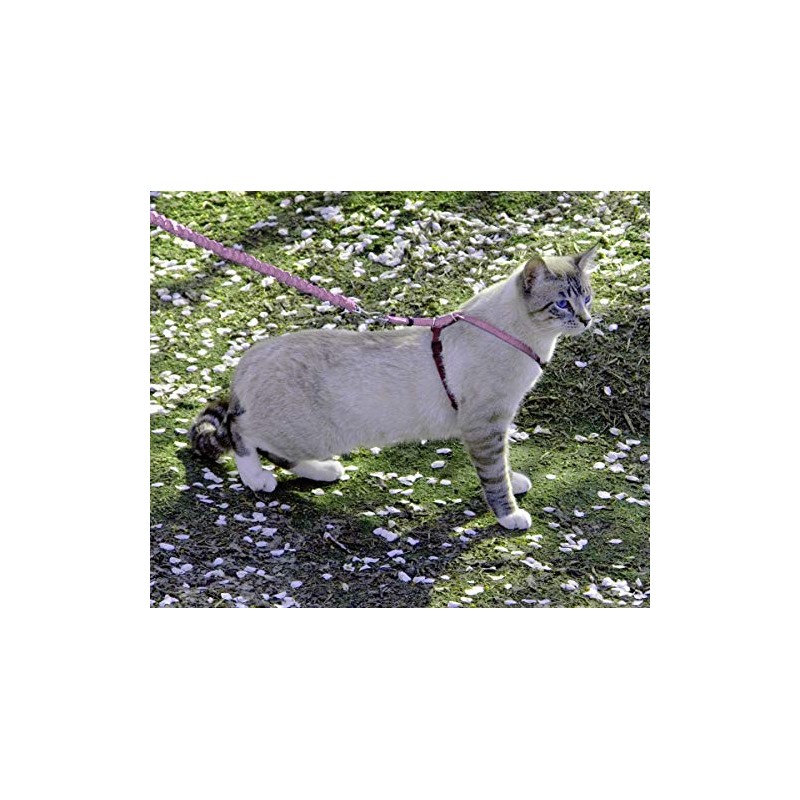 PetSafe Come with Me - Arnés de Gatito y Correa