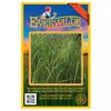 Everwilde Farms - 400 Cord Grass Native Grass Seeds -