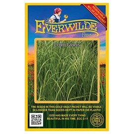 Everwilde Farms - 400 Cord Grass Native Grass Seeds - Gold Vault Jumbo Seed Packet