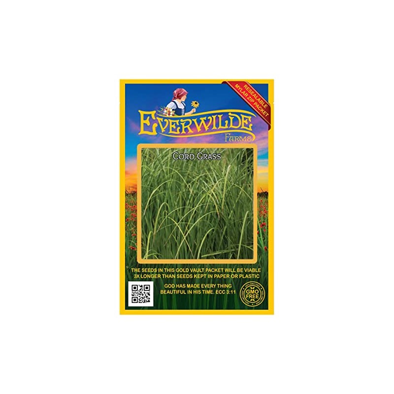 Everwilde Farms - 400 Cord Grass Native Grass Seeds -