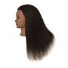 HairZtar Ethnic Afro Coarse Yak Hair Mannequin Head Hairdresser Training