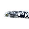 Takeoff Chin Anago Realistic Plush Toy