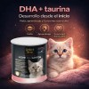 Sustituto De Leche Para Gatitos 360 Gr Perfect Sense