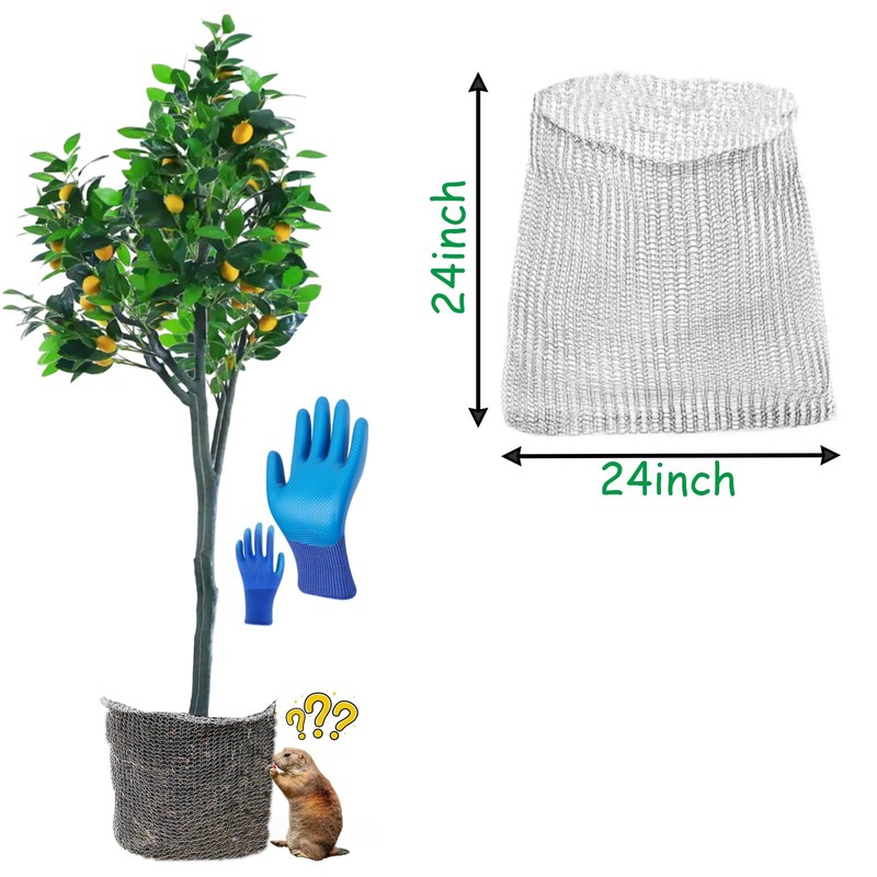 HAORESULT 5 Packs Gopher Baskets 15 Gallon Size Stainless Steel