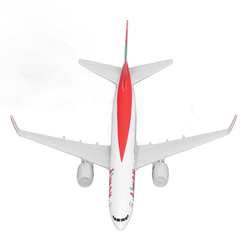 Airplane Model Alloy Educational Simulated Exquisite Practical Plane Model Toy