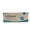 Disposable Face Mask