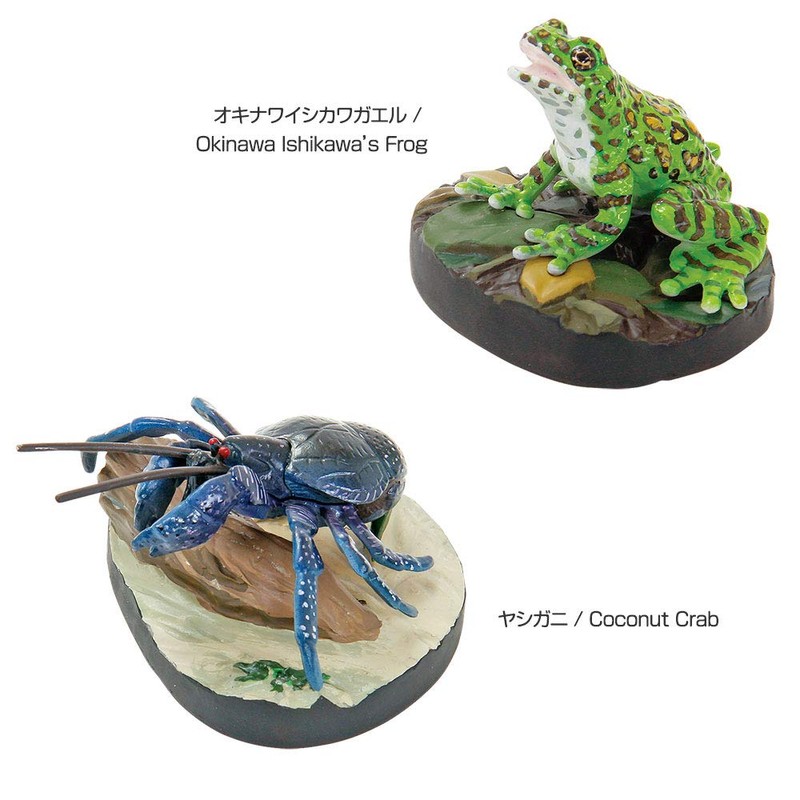 Carolata Yanbaru Biological Box (3D Picture Book), Birds, Insects, Reptiles,